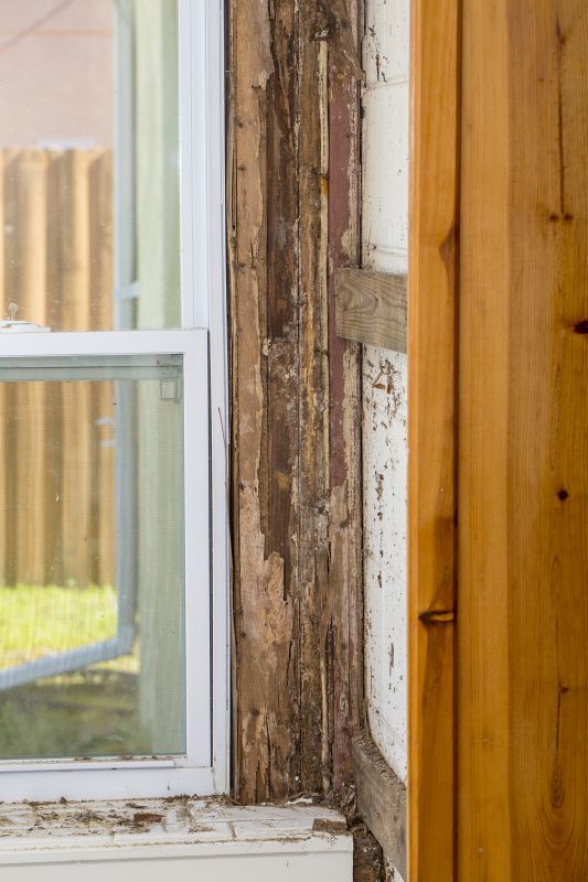 Wood Rot Repair Service