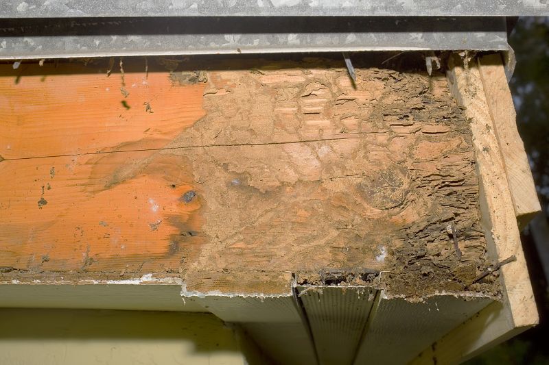 Dry Rot Repair in Littleton, CO