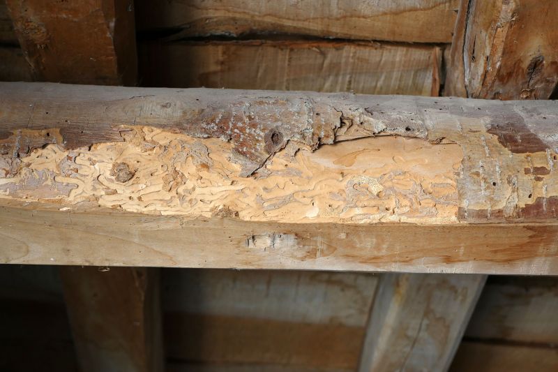Wood Decay Repair in Overland Park, KS