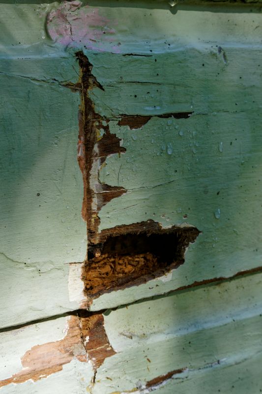 Wood Decay Repair in Littleton, CO