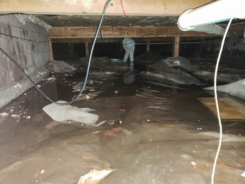 Basement Restoration Service in Gilbert, AZ