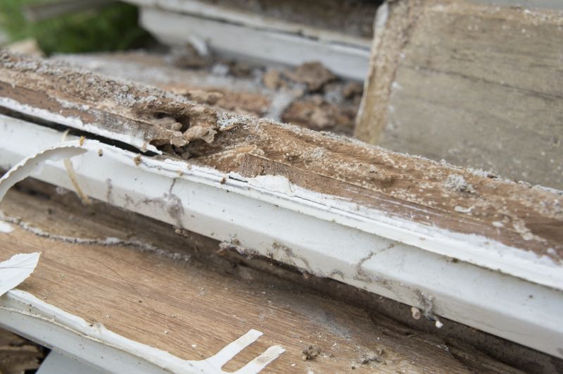 Decayed Wood Replacement in Denver County, CO