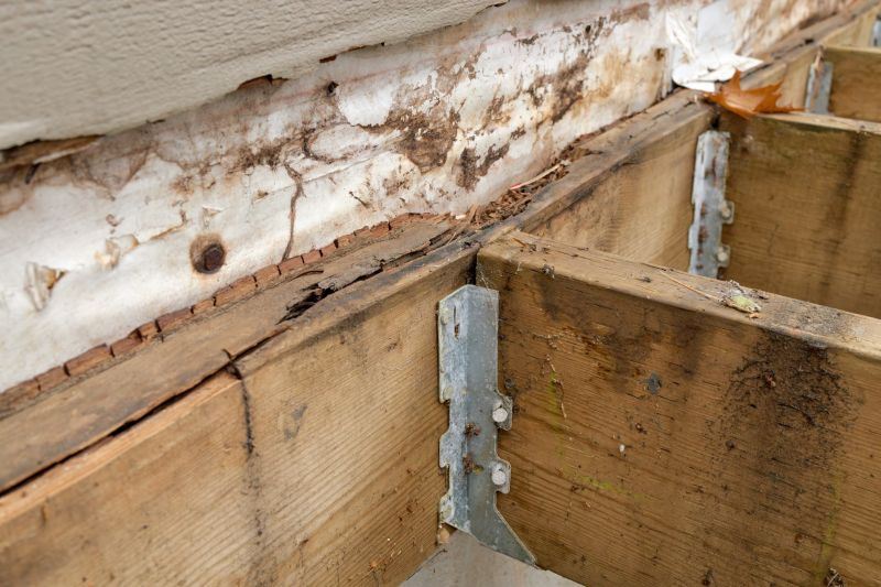 Dry Rot Repair