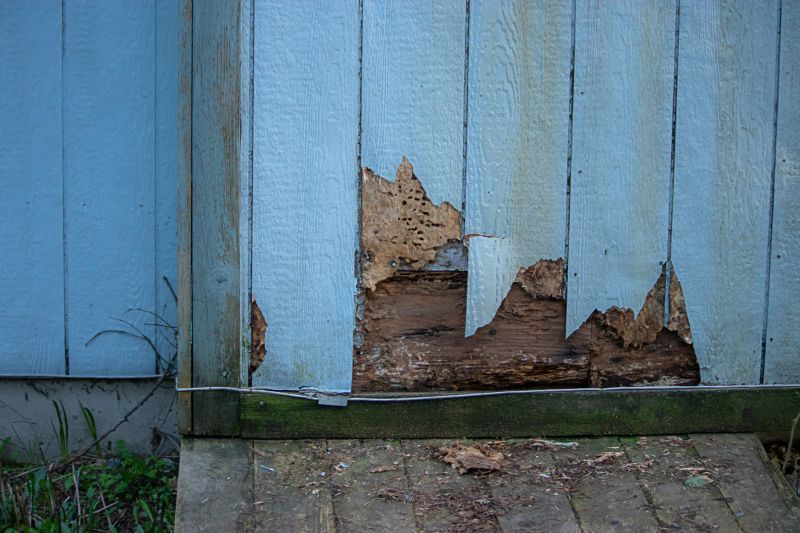 Pest Damage Repair in Roswell, GA