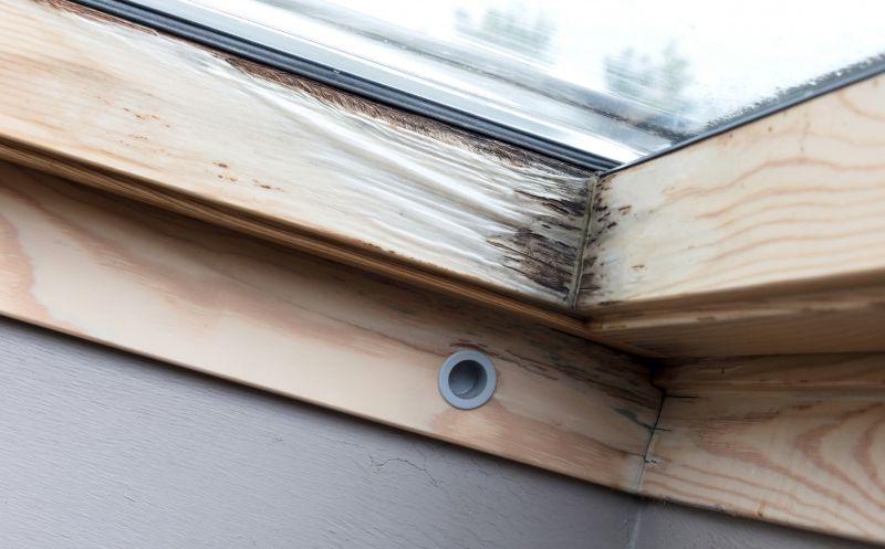 Rot Repair Service in Denver County, CO