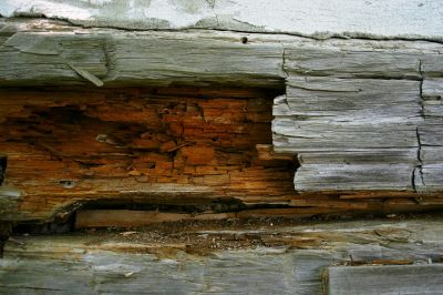 Rotten Wood Repair in Kansas City, MO