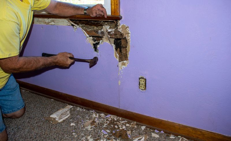 Termite Damage Repair Service in Olathe, KS