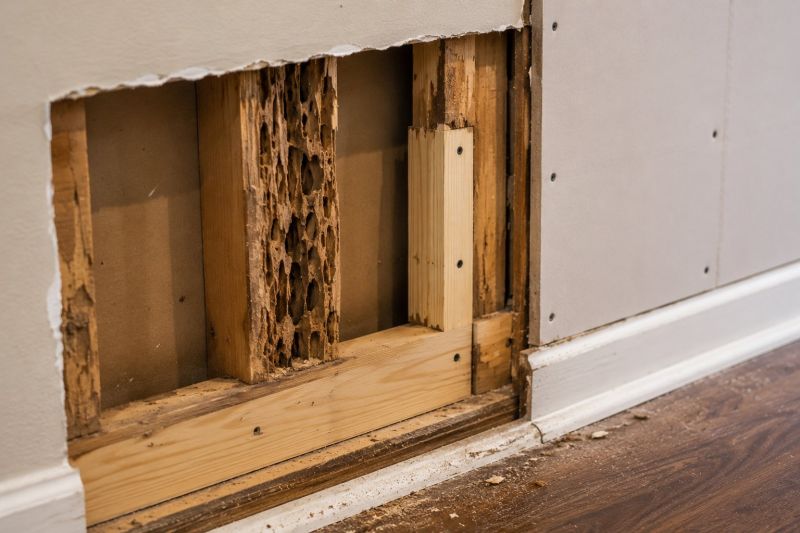 Termite Damage Repair Service in Roswell, GA