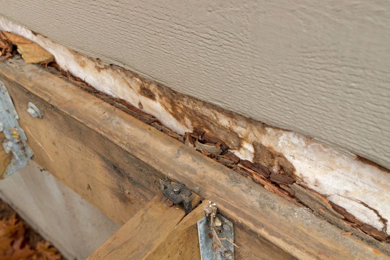 Wood Rot Removal in Denver, CO