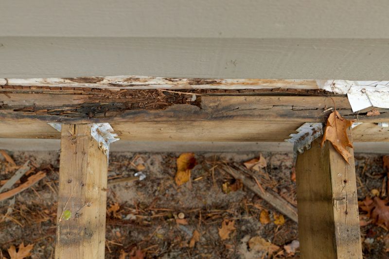 Wood Rot Repair in Denver, CO